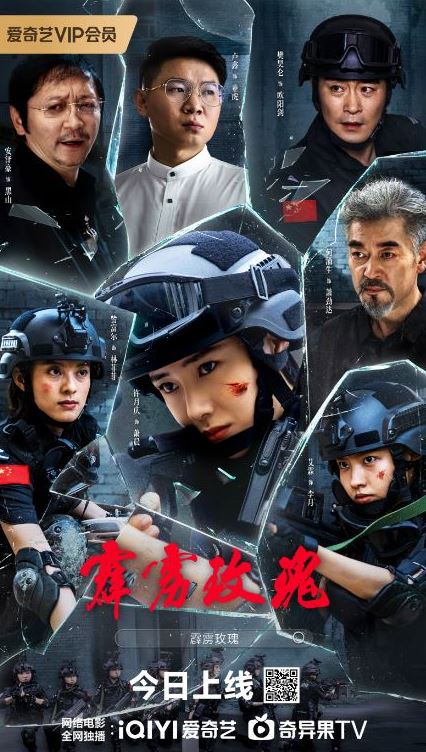 2025年国产剧情片《霹雳玫瑰》HD国语中字