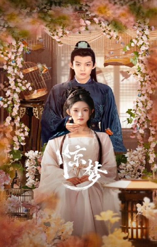 2025年国产大陆电视剧《惊梦》全24集