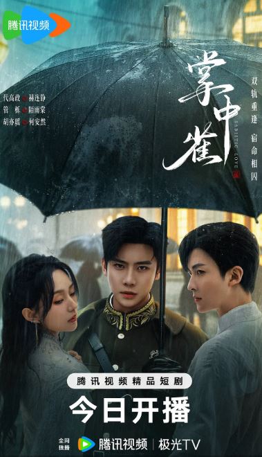 2025年国产大陆短剧《掌中雀》全24集