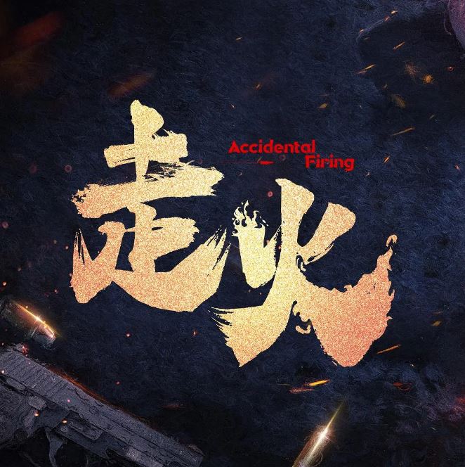 2025年国产大陆电视剧《走火》全24集