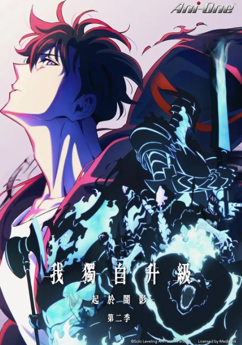 2025年日本动漫《我独自升级 第二季》全13集