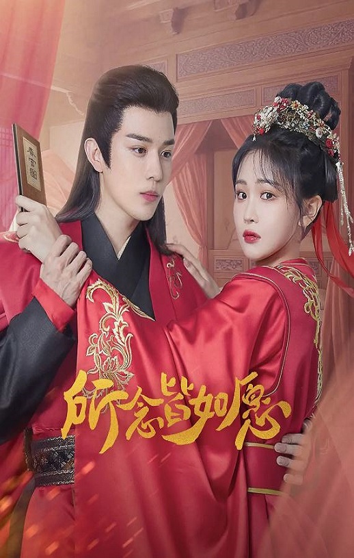 2025年国产大陆电视剧《所念皆如愿》全22集