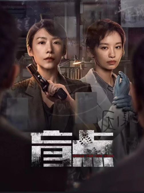 2025年国产大陆电视剧《盲点》全24集