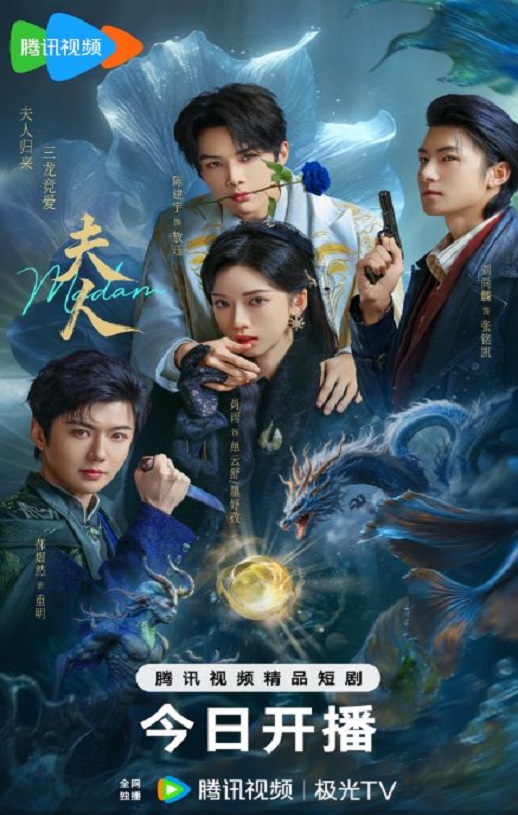 2025年国产大陆电视剧《夫人》全24集