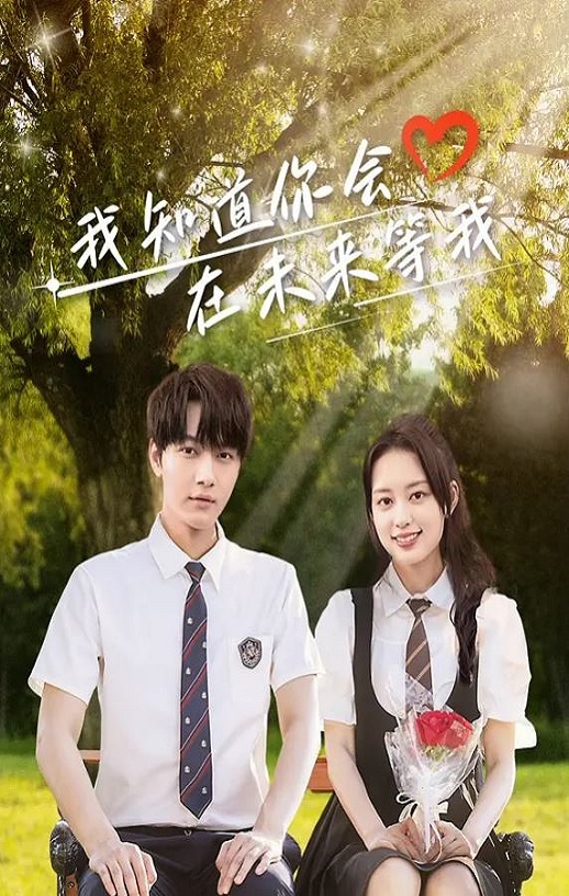 2025年国产大陆电视剧《我知道你会在未来等我》全23集