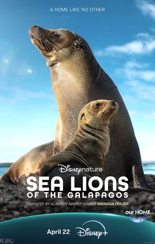 2025年美国纪录片《海狮利奥环岛记》HD英语中字