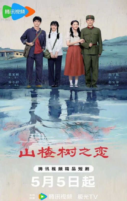 2025年国产大陆电视剧《山楂树之恋》全18集