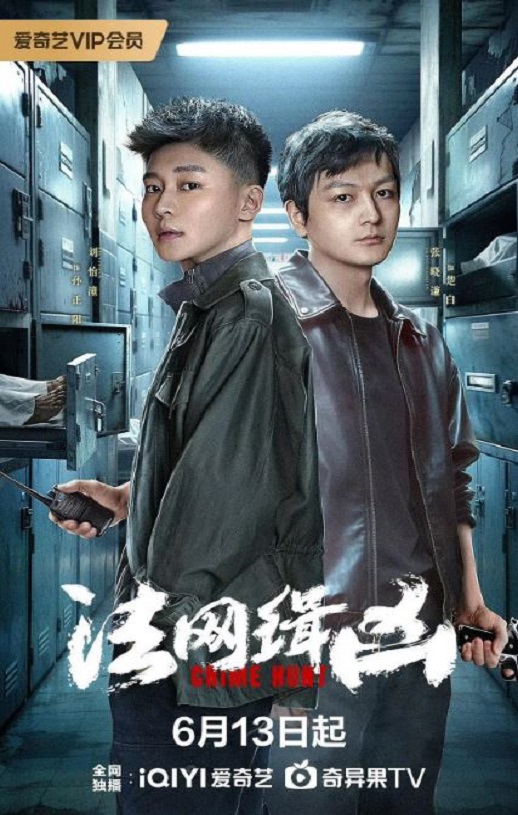 2025年国产大陆电视剧《法网缉凶》全26集