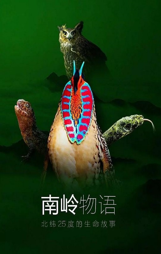 2021年国产大陆纪录片《南岭物语》全3集