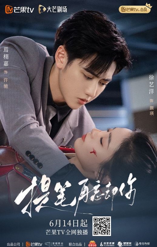 2025年国产大陆电视剧《提笔再忘却你》全24集