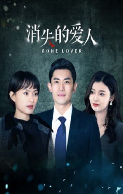 2025年国产大陆电视剧《消失的爱人》全24集