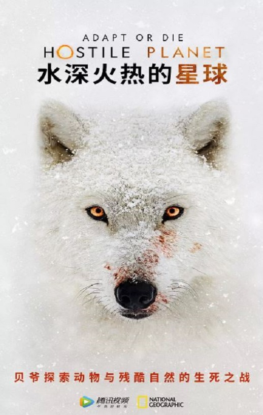 2019年美国纪录片《水深火热的星球》全6集