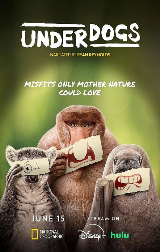 2025年美国纪录片《废柴英雄》全5集