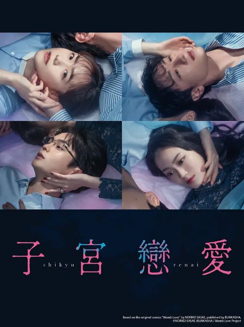 2025年日本电视剧《子宫恋爱》全12集