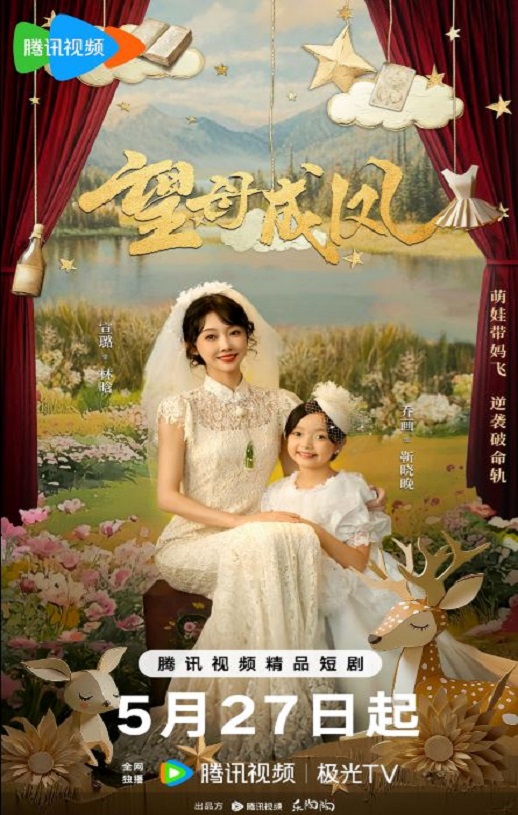 2025年国产大陆电视剧《望母成凤》全24集