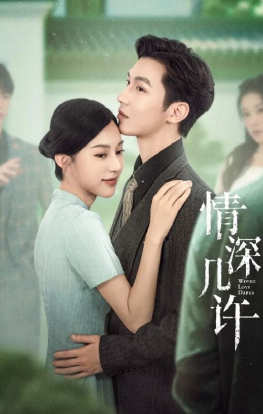 2025年国产大陆电视剧《情深几许》全20集