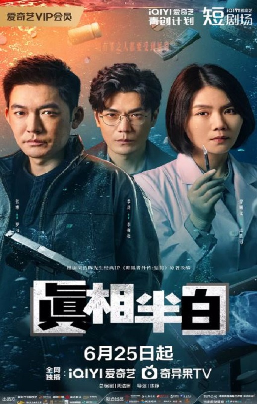 2025年国产大陆电视剧《真相半白》全25集