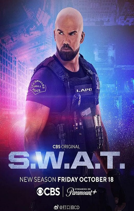 2024年美国电视剧《反恐特警组 第八季》全22集