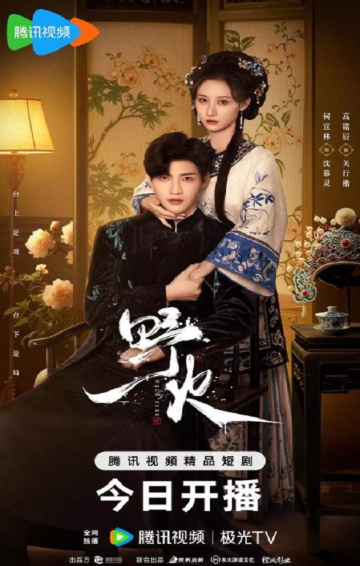 2025年国产大陆电视剧《野火》全24集