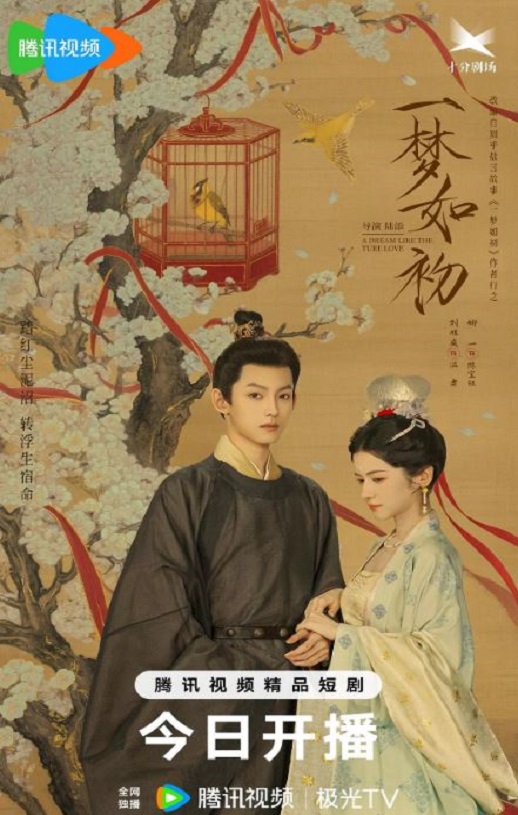 2025年国产大陆电视剧《一梦如初》全24集