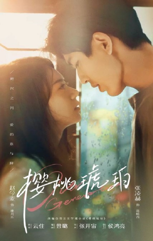 2025年国产大陆电视剧《樱桃琥珀》全24集