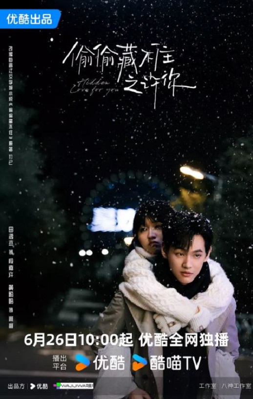 2025年国产大陆电视剧《偷偷藏不住之许你》全24集