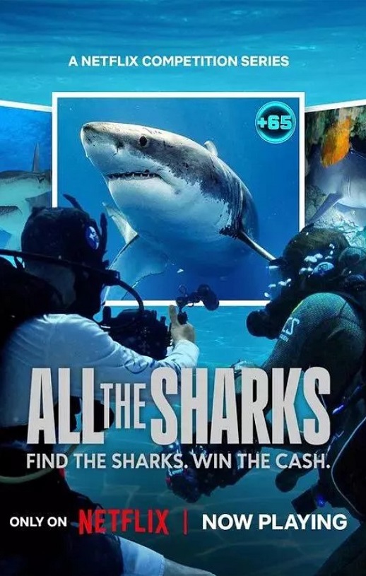 2025年美国纪录片《众里寻鲨：拍摄大作战》全6集