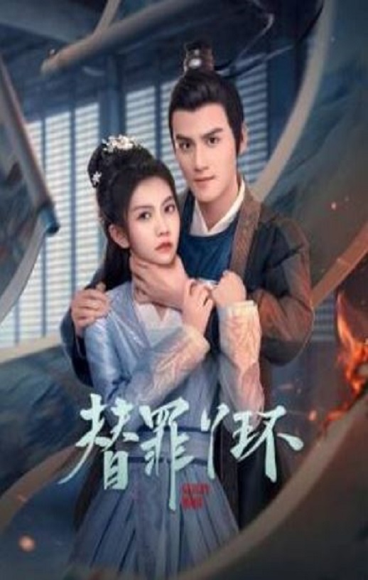 2025年国产大陆电视剧《替罪丫鬟》全24
