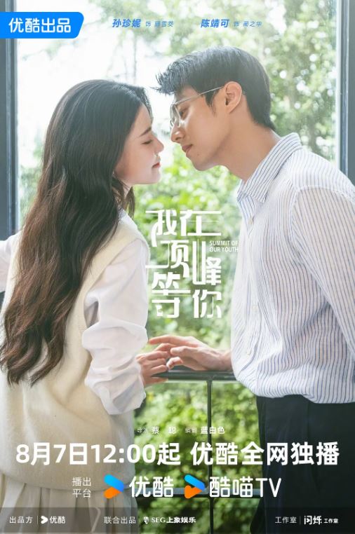 2025年国产大陆电视剧《我在顶峰等你》全23集