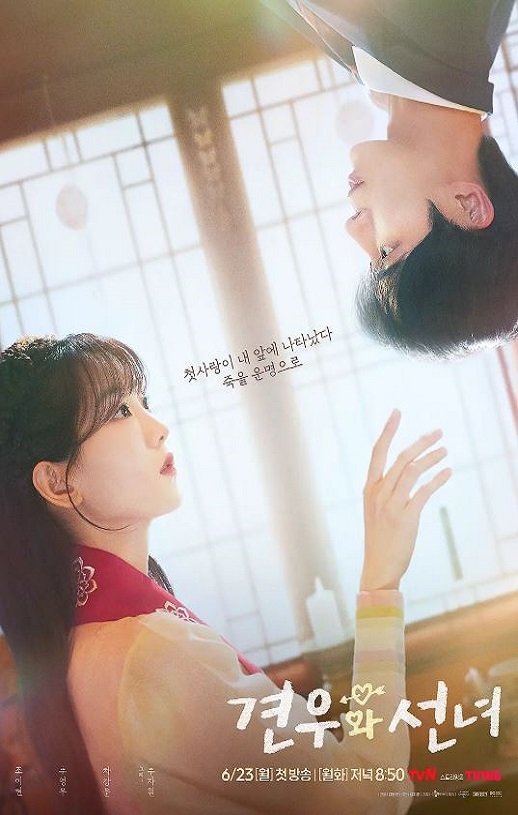 2025年韩国电视剧《牵牛和仙女》全12集