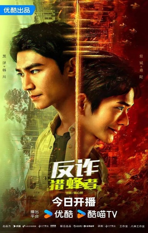 2025年国产大陆电视剧《反诈·猎蜂者》全29集