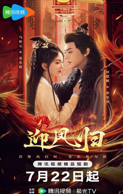 2025年国产大陆电视剧《迎凤归》全28集