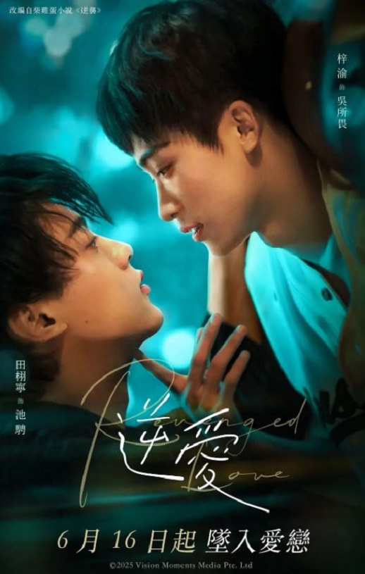 2025年国产大陆电视剧《逆爱》全24集