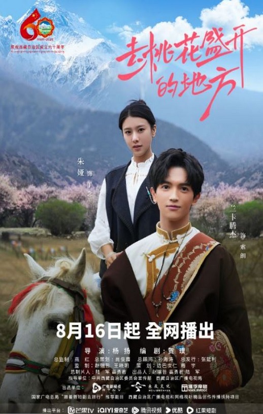 2025年国产大陆电视剧《去桃花盛开的地方》全12集