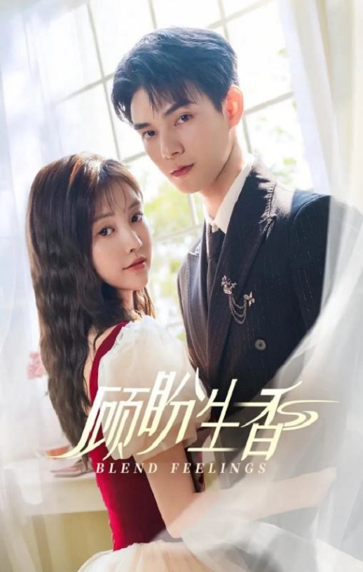 2025年国产大陆电视剧《顾盼生香》全24集