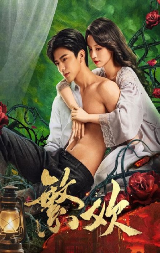 2025年国产大陆电视剧《繁欢》全24集