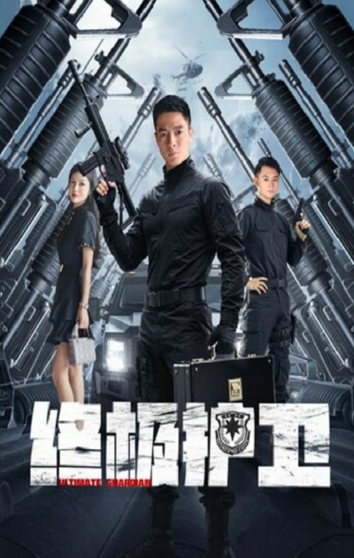2025年国产动作片《终极护卫》HD国语中字