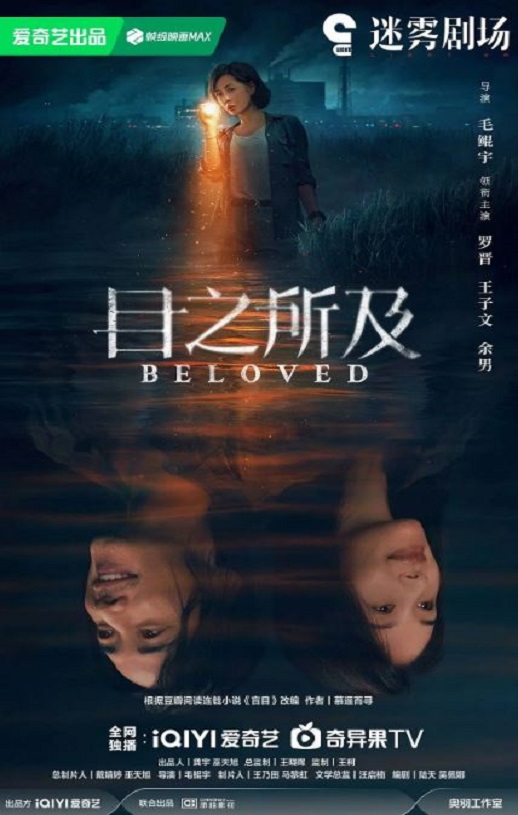 2025年国产大陆电视剧《目之所及》全16集