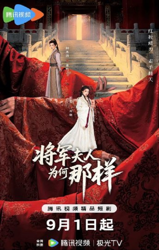 2025年国产大陆电视剧《将军夫人为何那样》全24集