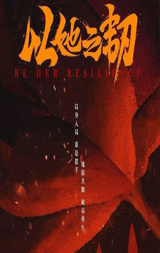 2025年国产大陆电视剧《以她之韧》全24集