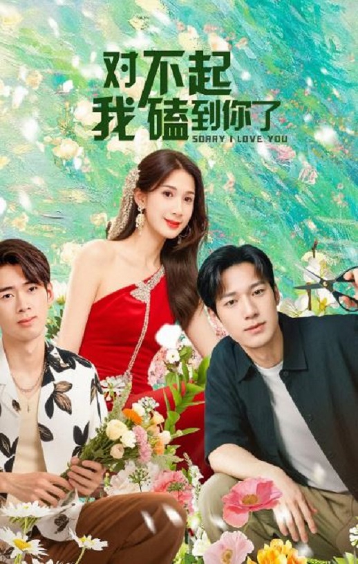 2025年国产大陆电视剧《对不起，我磕到你了》全20集