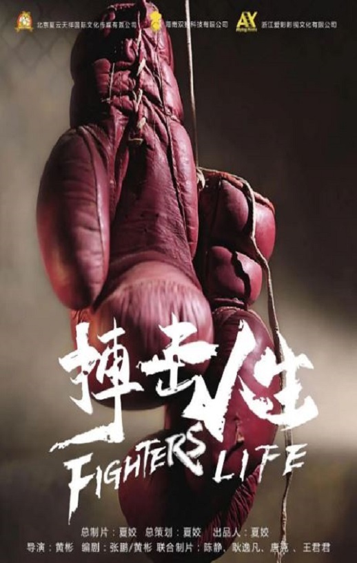 2021年国产动作片《搏击人生》HD国语中字