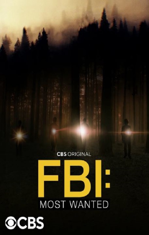 2022年美国电视剧《联邦调查局：通缉要犯第四季》全22集