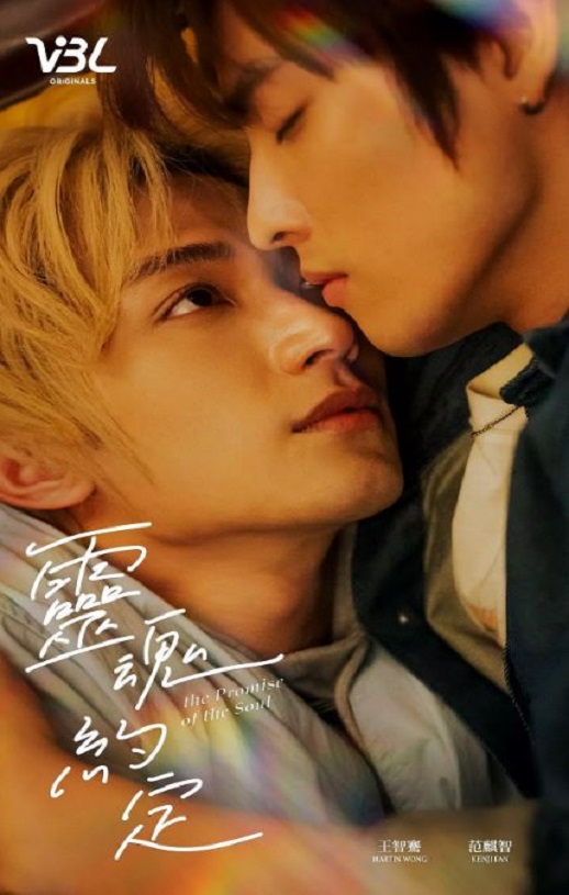2025年中国台湾电视剧《灵魂约定》全12集