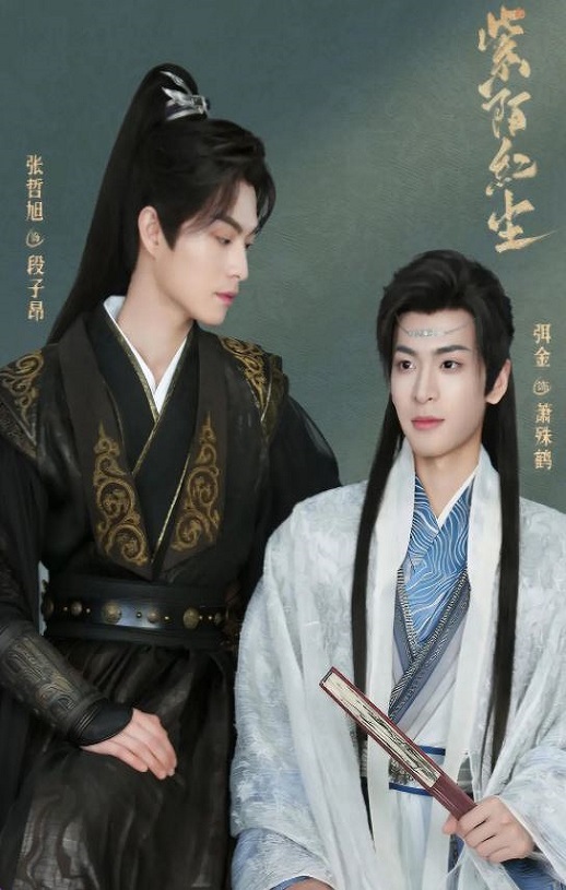 2025年中国台湾电视剧《紫陌红尘》全12集