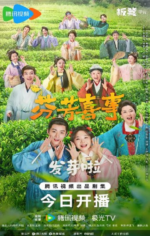 2025年国产大陆电视剧《芬芳喜事》全32集