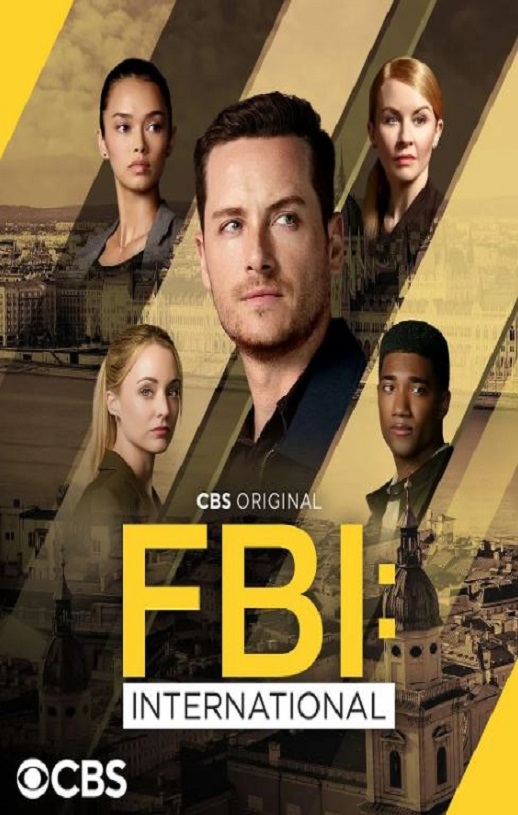 2024年美国电视剧《联邦调查局：国际 第四季》全22集