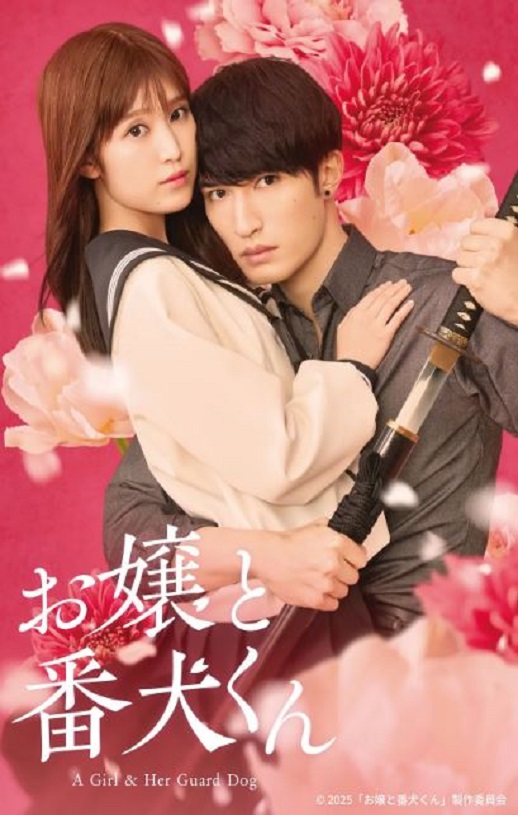 2025年日本喜剧爱情片《大小姐和看门犬》BD日语中字