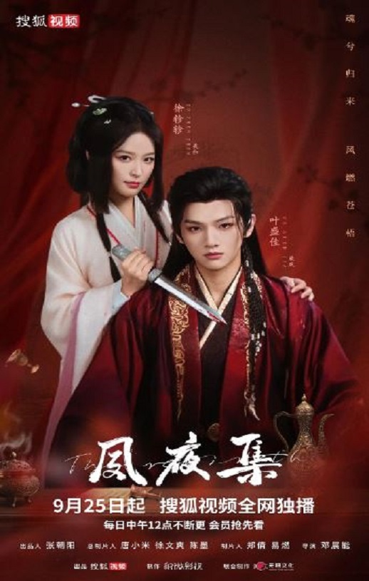 2025年国产大陆电视剧《夙夜集》全24集