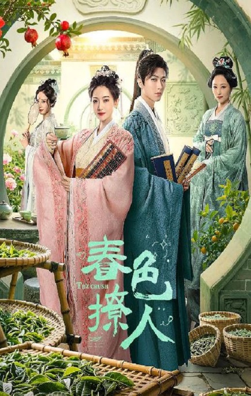 2025年国产大陆电视剧《春色撩人》全25集